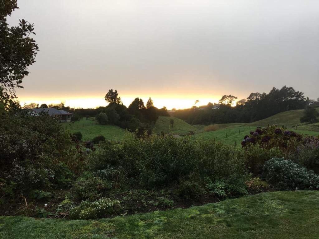 ניו פלימות' Pukeko Lodge Bnb מראה חיצוני תמונה