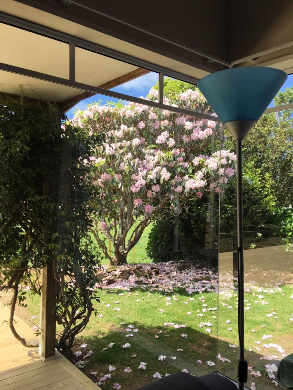 ניו פלימות' Pukeko Lodge Bnb מראה חיצוני תמונה